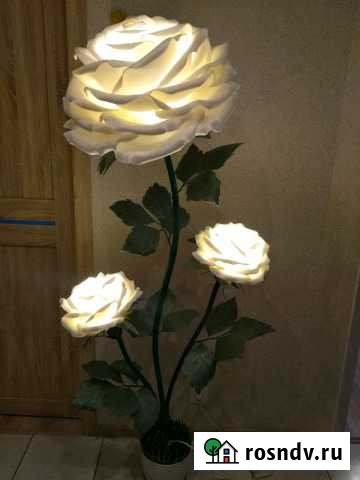 Интерьерные ростовые цветы Барнаул - изображение 1