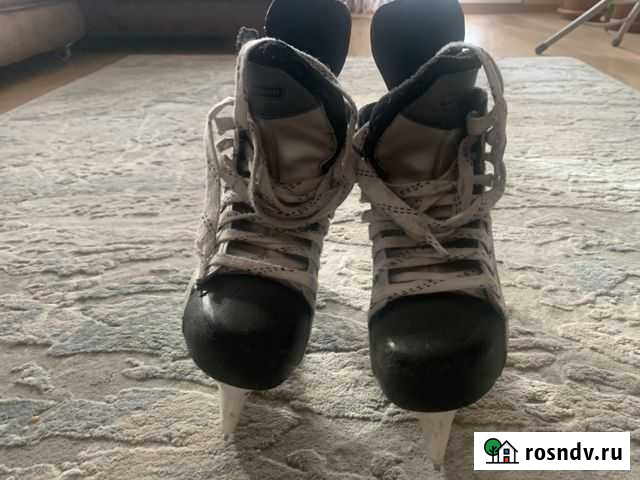 Коньки Бийск - изображение 1