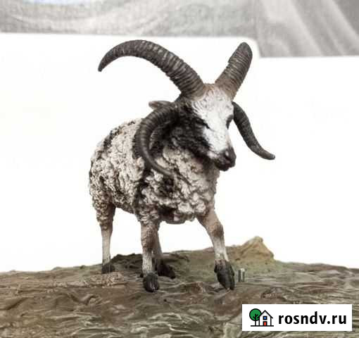 Четырёхрогий баран (овца Святого Якова) Collecta Новокузнецк - изображение 1