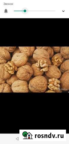 Орех грецкий в большом количестве Валуйки - изображение 1