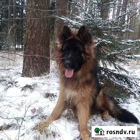 Вязка Смоленск - изображение 1