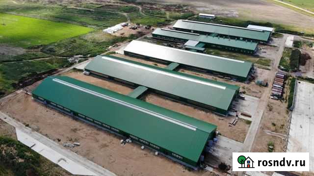 Животноводческий комплекс Савино - изображение 1