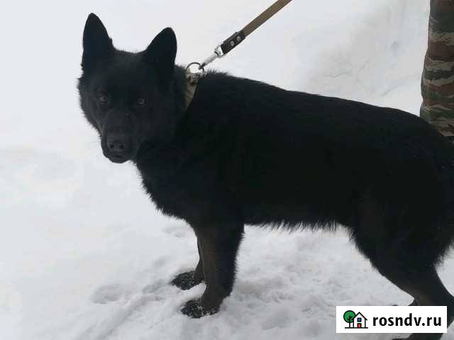 Вязка Соль-Илецк - изображение 1