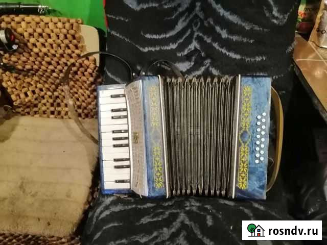 Аккордеон Петрозаводск - изображение 1