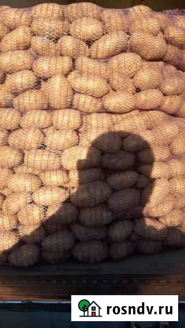 Картофель доставка Вологда - изображение 1