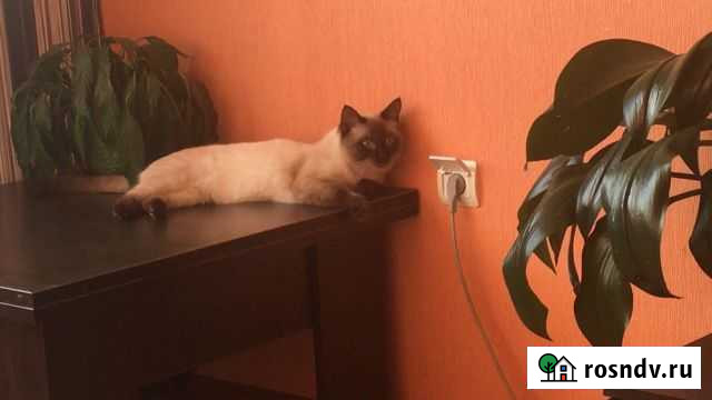 Помогите найти Миасс - изображение 1