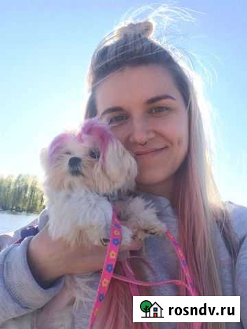 Груминг обучение Ярославль - изображение 1