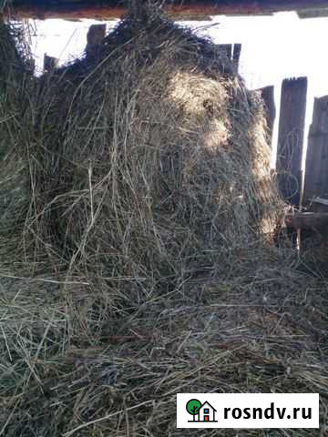 Сено Усолье-Сибирское - изображение 1