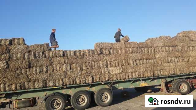 Продается сено солома.ячменная пшеничная рожь Джанкой - изображение 1