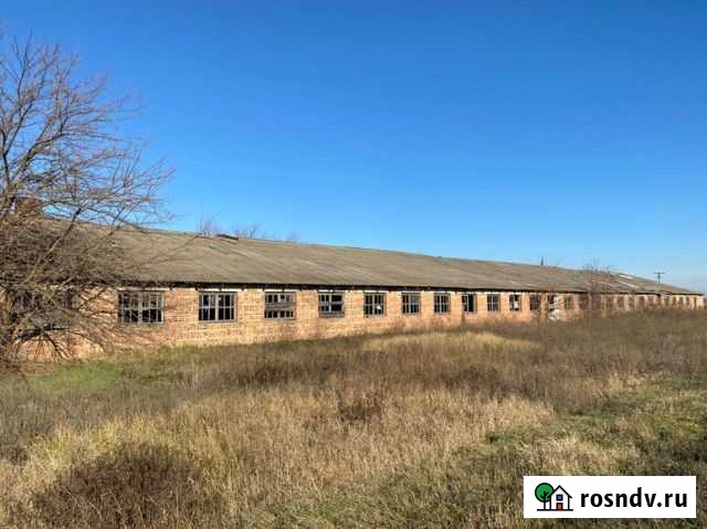 Ферма Приморка - изображение 1