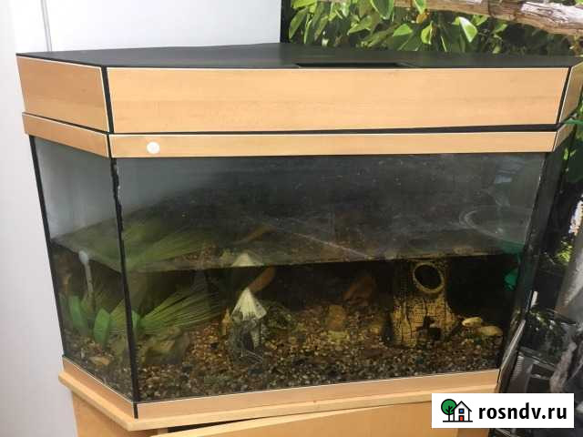 Продается аквариум угловой панорамный Малоярославец - изображение 1