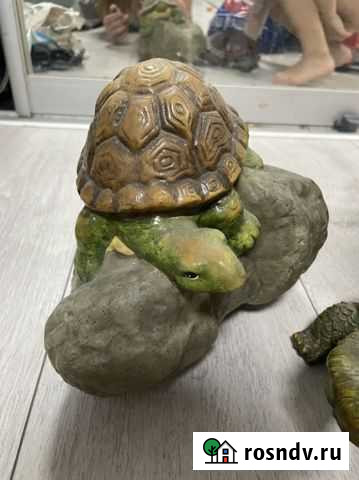 Черепаха Санкт-Петербург - изображение 1