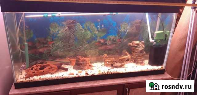 Аквариум с тумбой железный каркас Прокопьевск - изображение 1