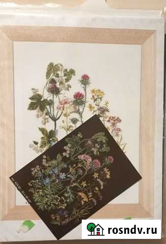 Наборы для вышивания крестиком Thea Gouverneur Щербинка - изображение 1