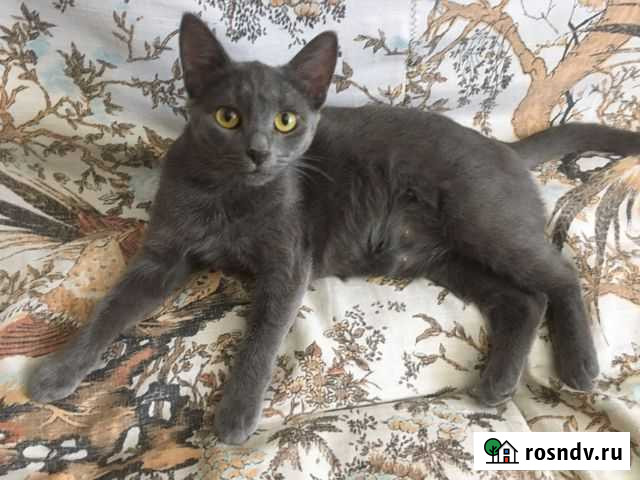 В ответственные руки’ Казань - изображение 1