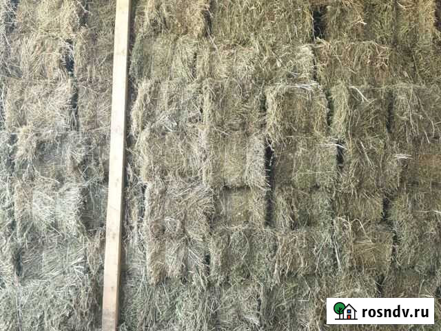 Сено, люцерна, солома в тюках, ячмень,тыква Анапа - изображение 1