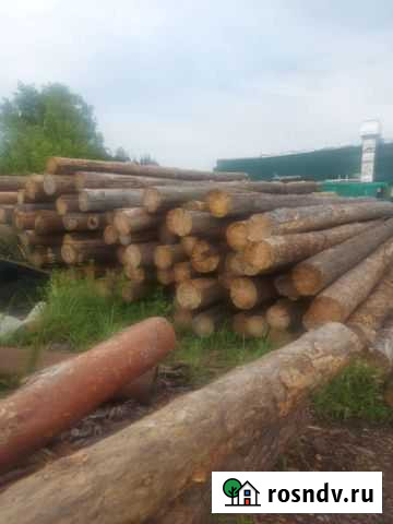З.К.У.П.А.Е.М.лес кругляк сосна сухостой Петровск - изображение 1