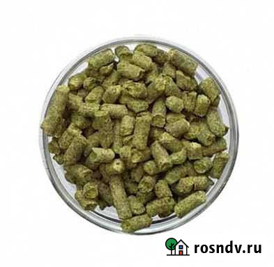 Хмель Нортен Бревер Ейск - изображение 1