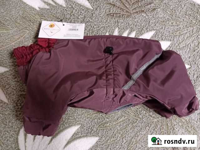 Комбинезон на кобеля породы шпиц осень-зима Лесной Городок - изображение 1