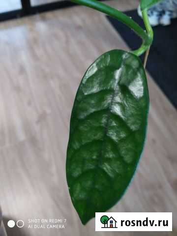 Хойи Слободской - изображение 1