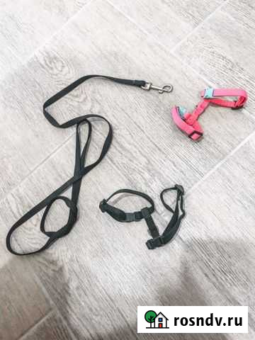 Шлейка для маленькой собаки (или хорька) Кстово - изображение 1