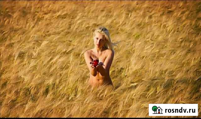 Ячмень Заветный - изображение 1