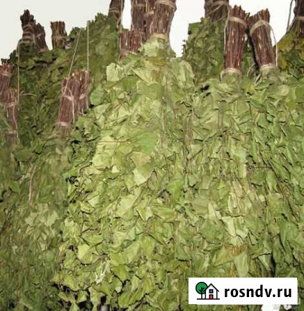 Веник березовый Омск - изображение 1
