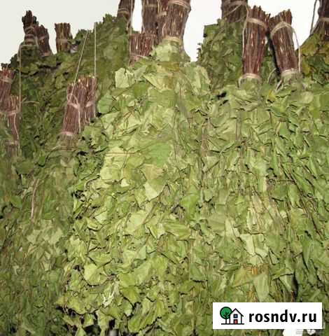 Веник березовый Омск - изображение 1