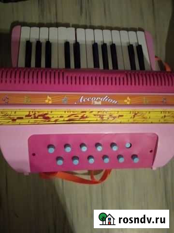 Детская гармонь Озерск - изображение 1