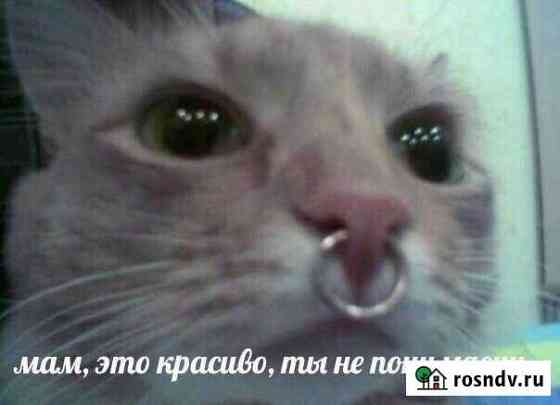 Пирсинг Ростов-на-Дону