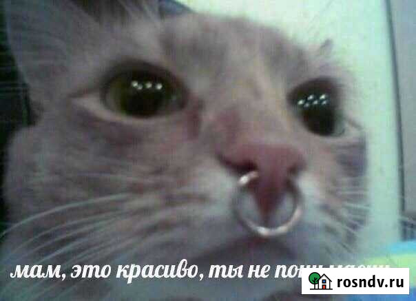 Пирсинг Ростов-на-Дону - изображение 1