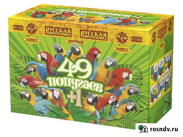 Салют 49 попугаев+1 фейерверк на праздник Челябинск - изображение 1