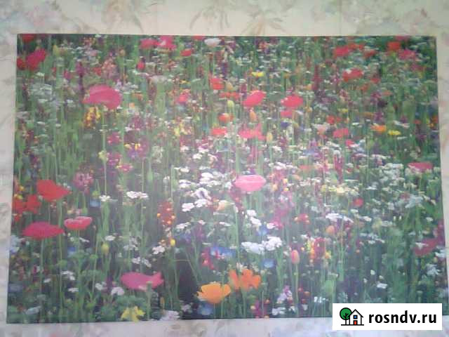 Картина Омск - изображение 1