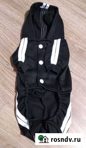 Костюм для собаки Комсомолец - изображение 1