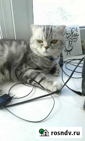 Вязка Бугульма - изображение 1