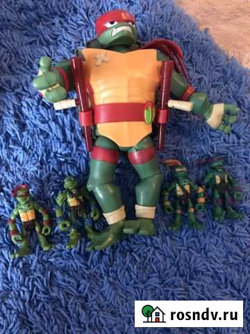Черепашка-ниндзя Сибирский - изображение 1