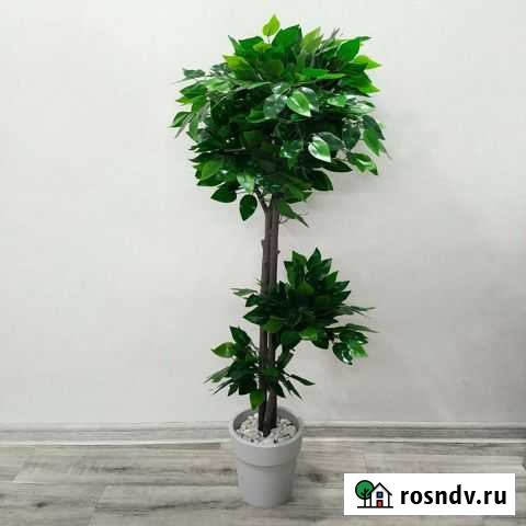 Искусственное дерево Фикус Манго Бамбук Белгород - изображение 1