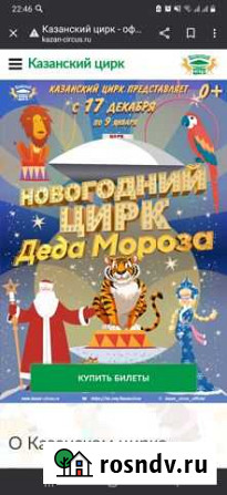 Билеты в Казанский цирк Казань - изображение 1