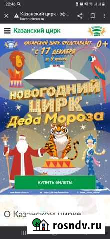 Билеты в Казанский цирк Казань - изображение 1