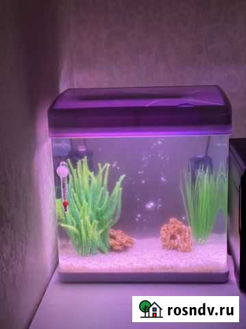 Аквариум Крымск - изображение 1