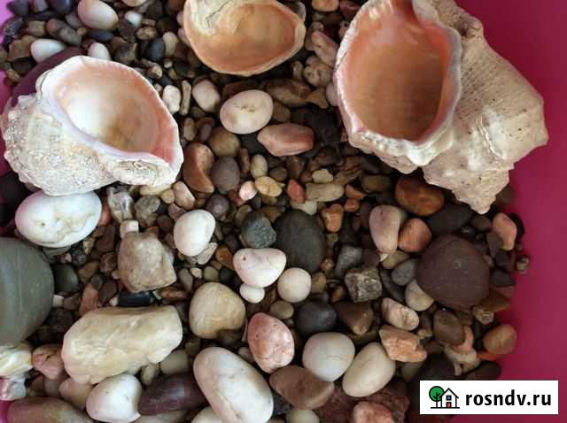 Ракушки для аквариума Набережные Челны - изображение 1