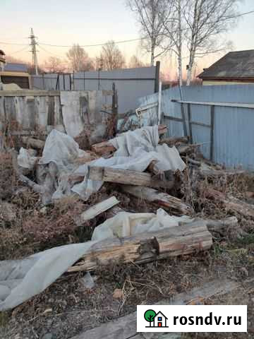 Дрова самовывоз Биробиджан - изображение 1