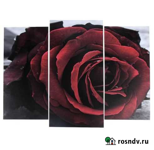 Модульная картина Новозыбков - изображение 1