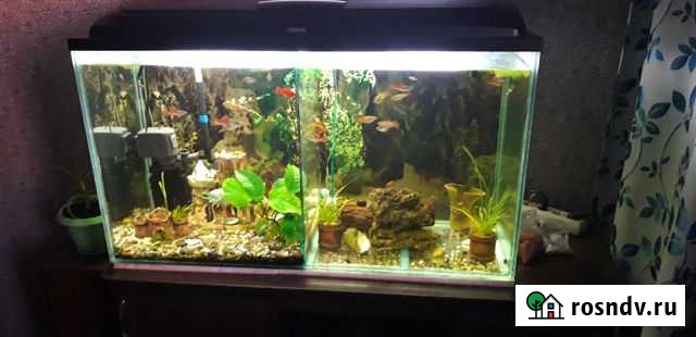 Аквариум с тумбой и каркасом Прокопьевск - изображение 1