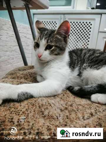 Ещё один бедося ищет дом Нижний Новгород - изображение 1