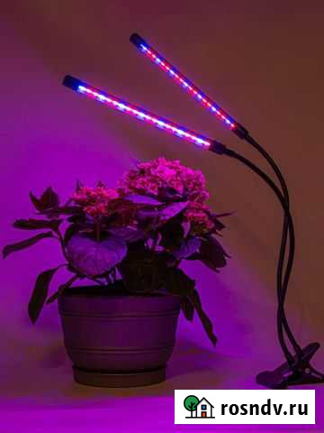 Фитолампа для растений Люберцы - изображение 1