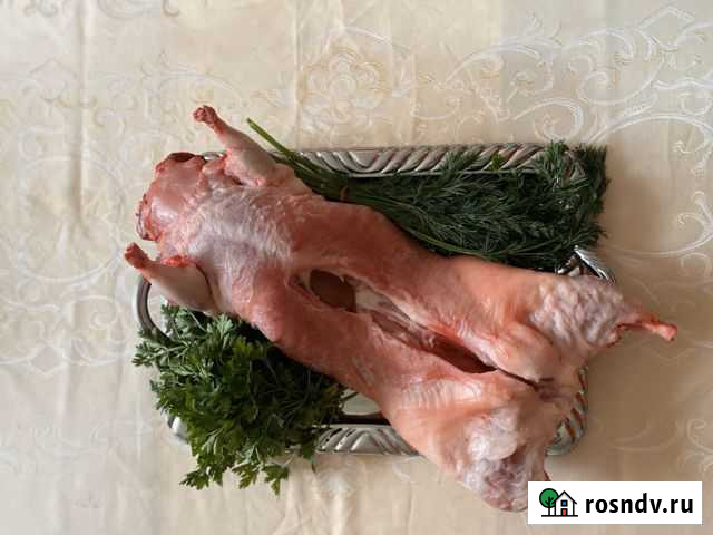 Домашнее мясо нутрии Усть-Лабинск - изображение 1