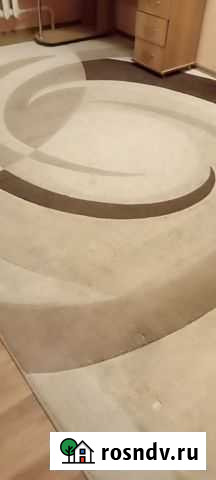 Палас Ульяновск - изображение 1