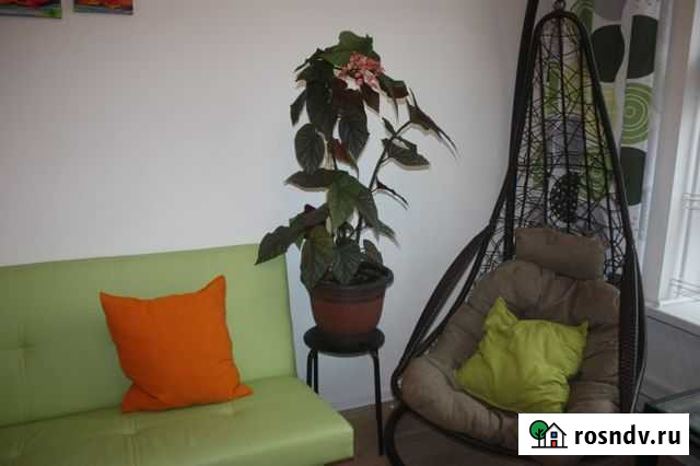 Горшки для цветов 15л, 4., 2л, 1.5л, 1л, 0,6, 0,35 Одинцово - изображение 1