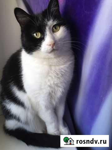 Дэни Хабаровск - изображение 1